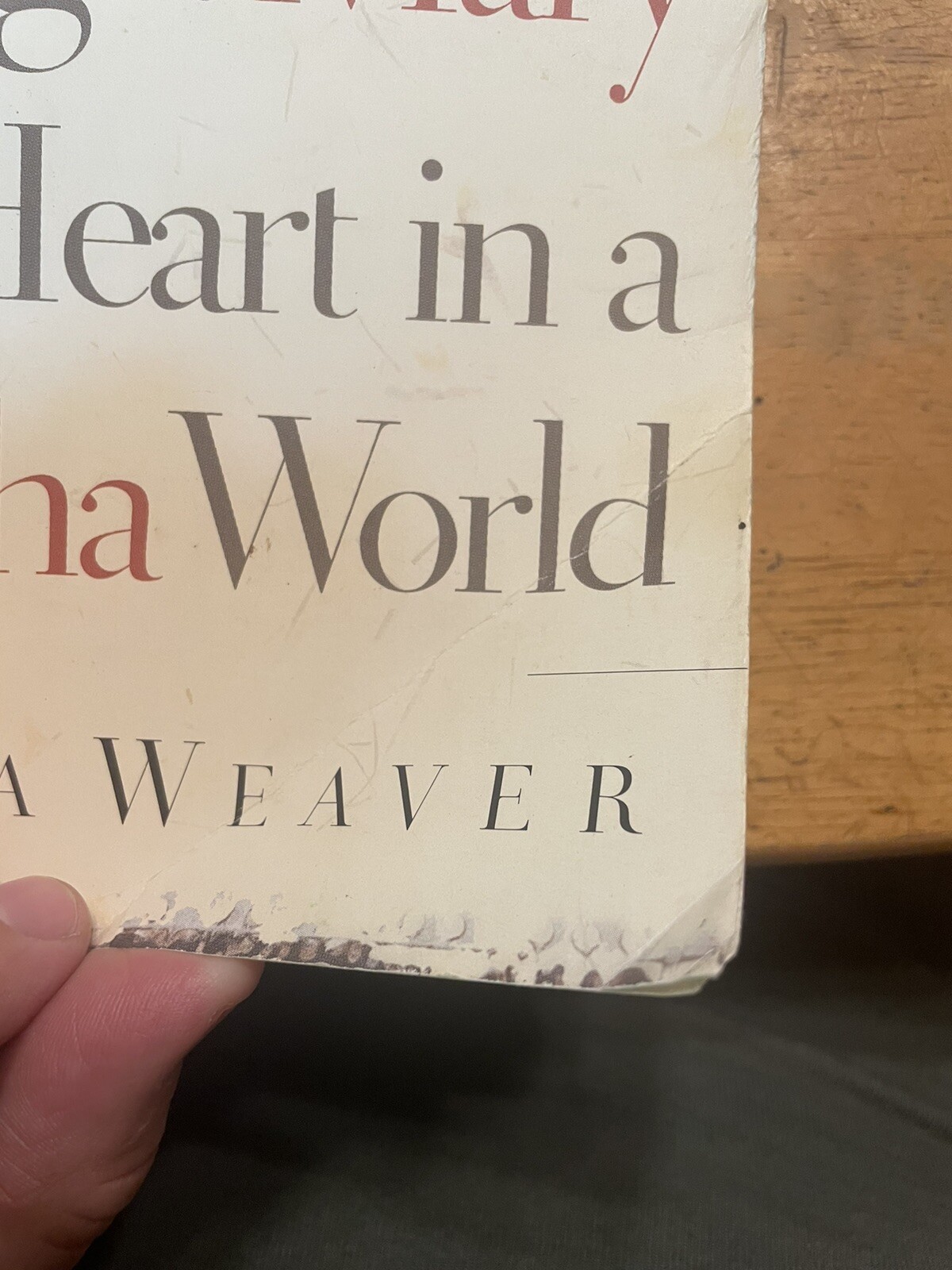 Religion Paperback: Having a Mary Heart in a Martha World by Joanna Weaver 2006