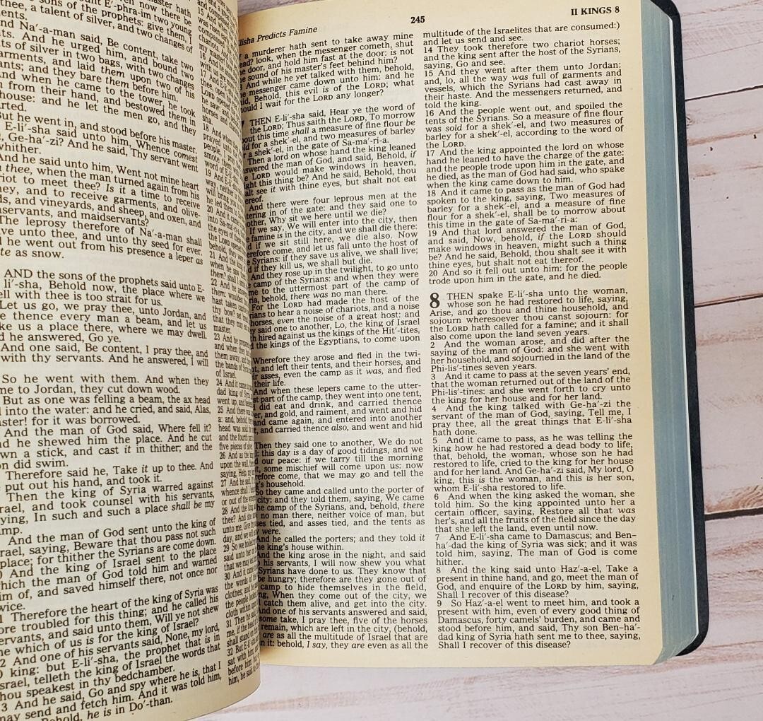 Holy Bible • KJV • Words Of Christ In Red • Nelson 162B • Dark Blue Cover