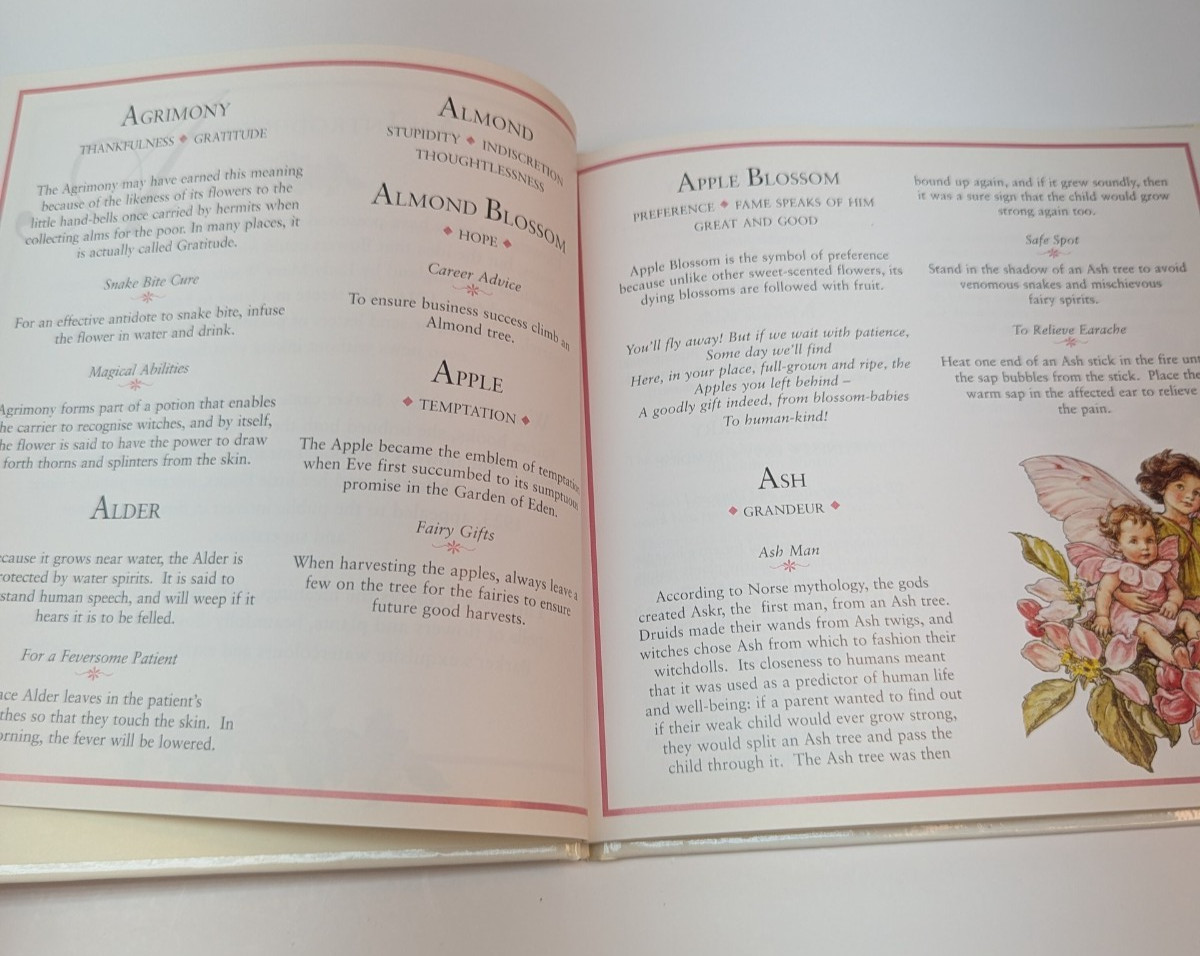 Flower Fairies: The Meaning of Flowers Frederick Warne 1996 Hardcover Vintage