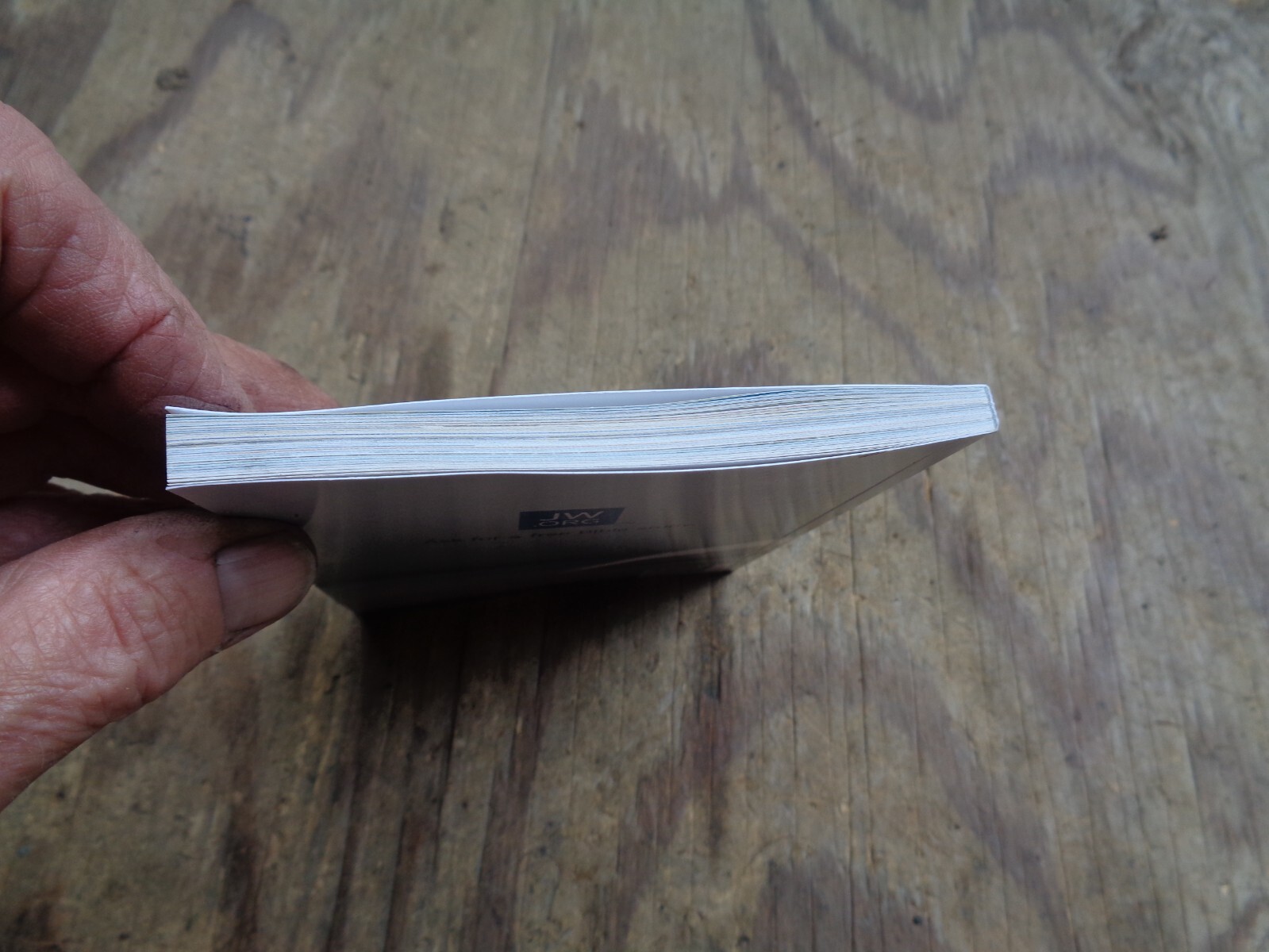 „WHAT DOES THE BIBLE REALLY TEACH?“. 2016. 223 pages. Paperback. Watchtower