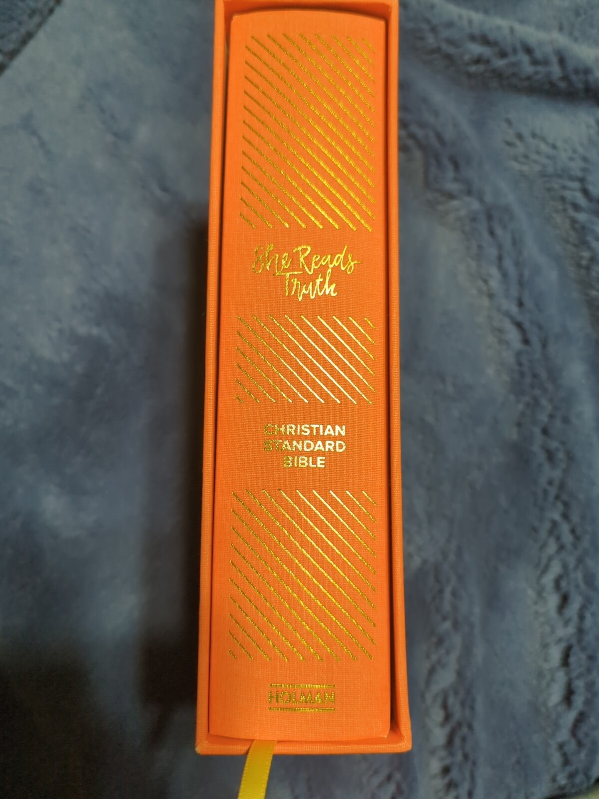CSB She Reads Truth Bible, Poppy Linen – CSB Bibles by Holman