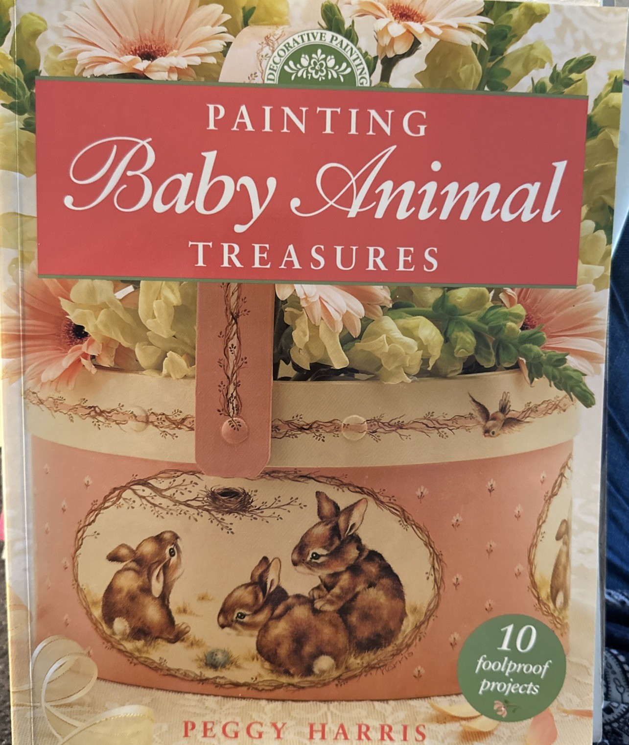 Painting Baby Animal Treasures (Decorative Painting) – Paperback – GOOD
