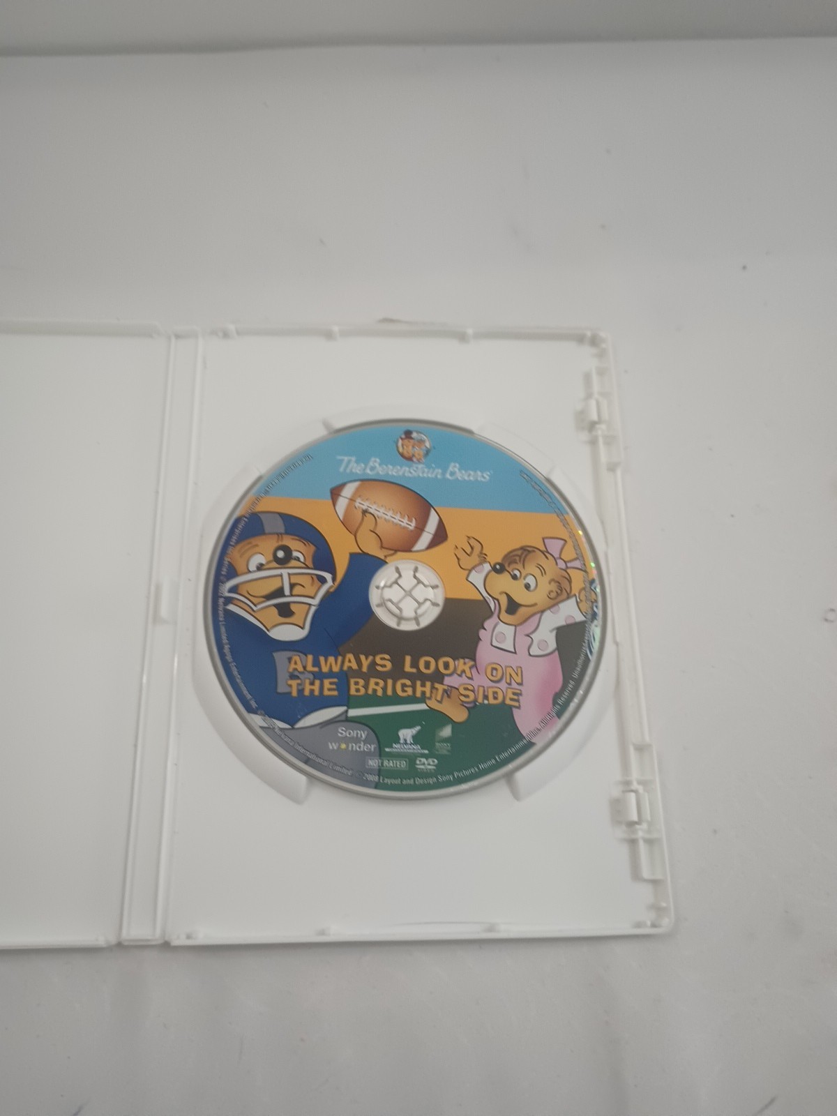 Lot of 26 Berenstain Bears Books Stories & 1 Movie DVD