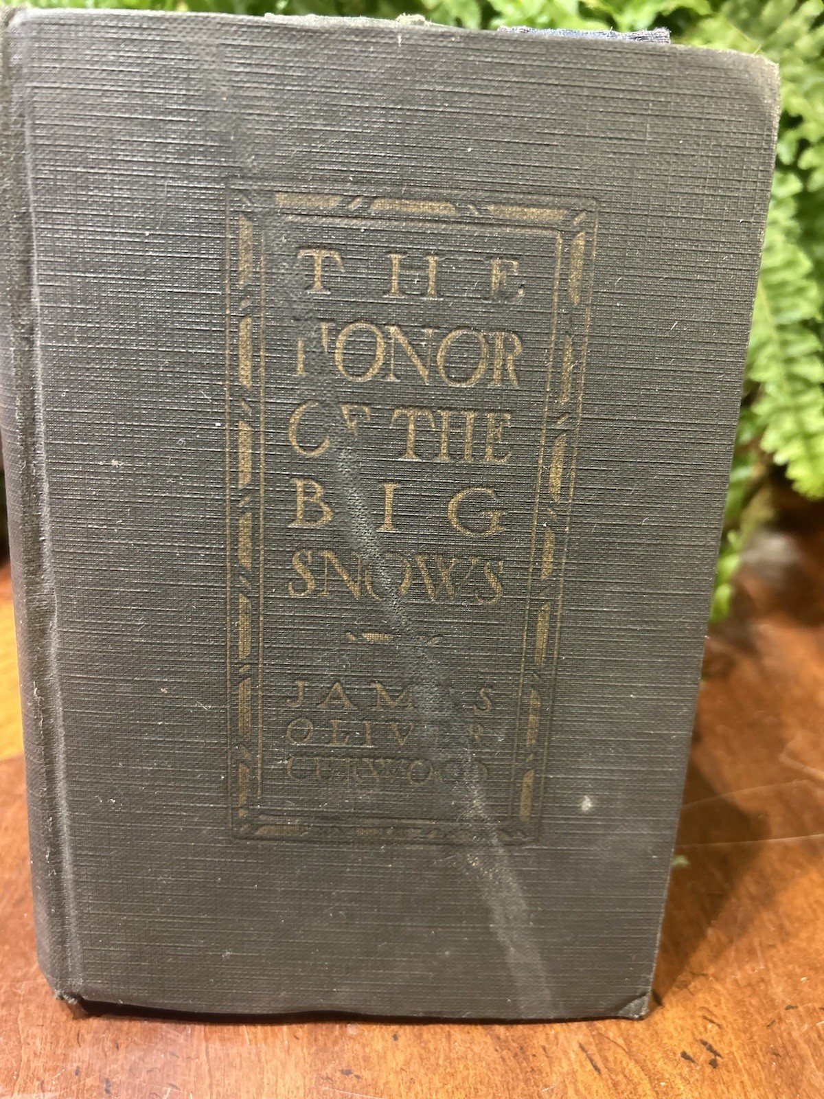 Set of 6 GREEN/BLUE ANTIQUE Books COTTAGE CORE Library Academia Decor Staging