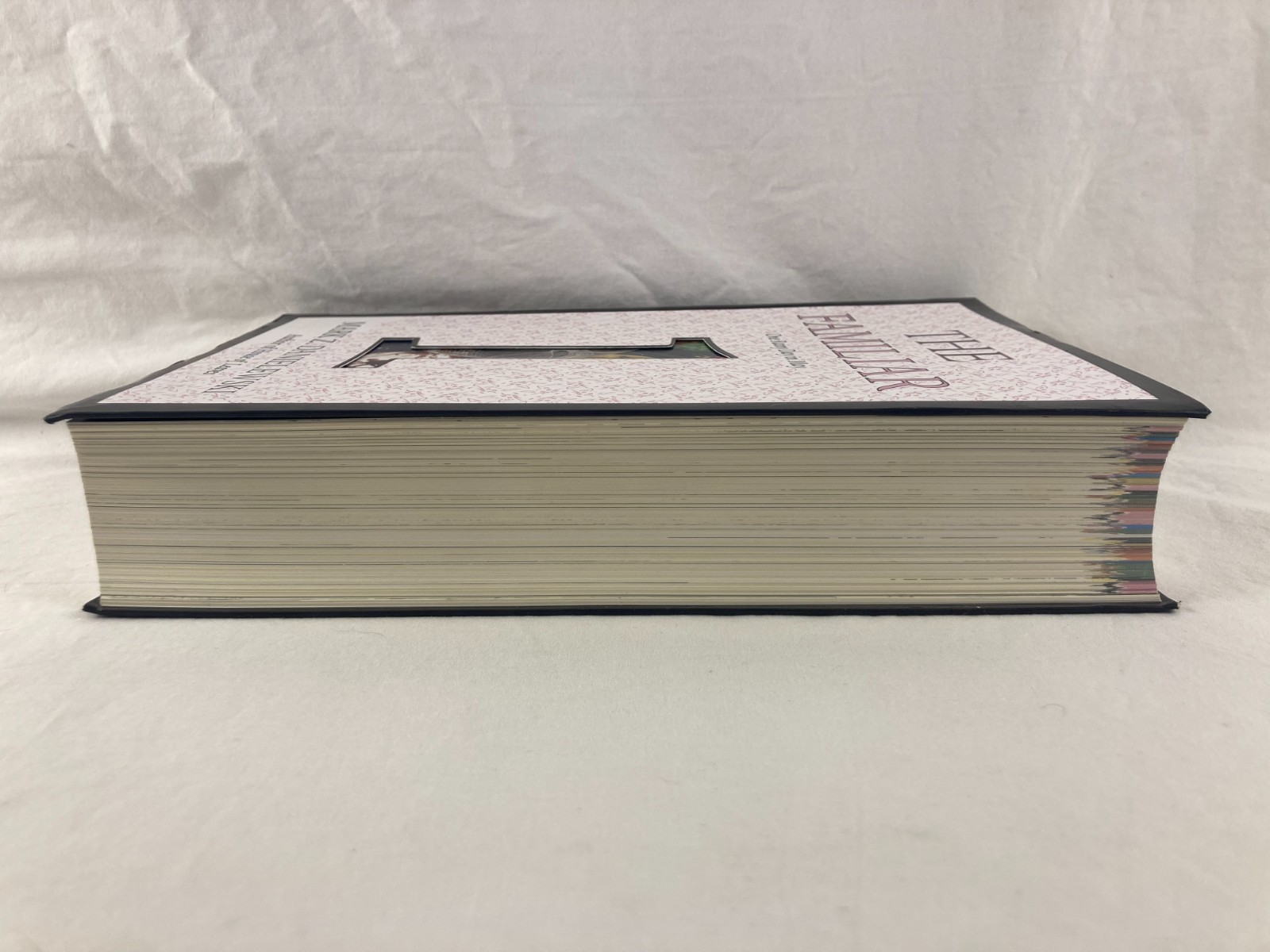 The Familiar Volume 1 One Rainy Day in May Mark Z. Danielewski 1st Ed. 1st Print