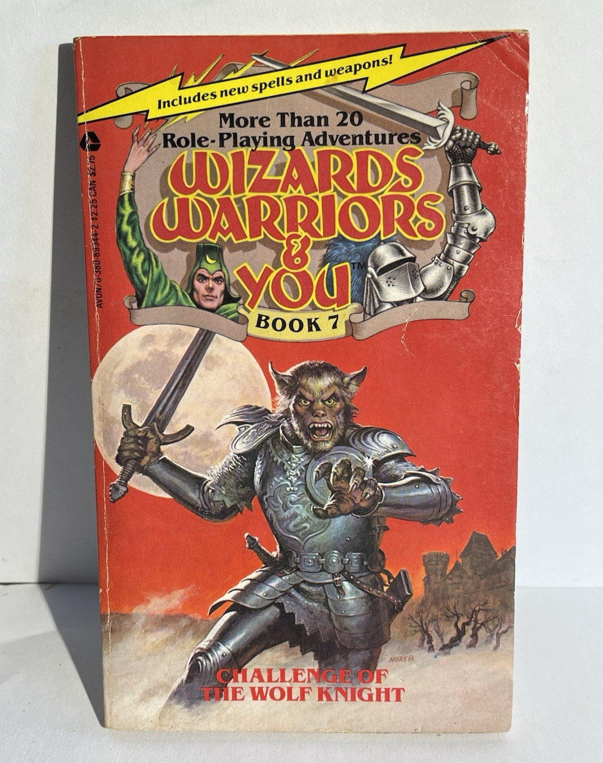 R. L. Stine Wizards, Warriors & You #7 Challenge of the Wolf Knight PB 1985