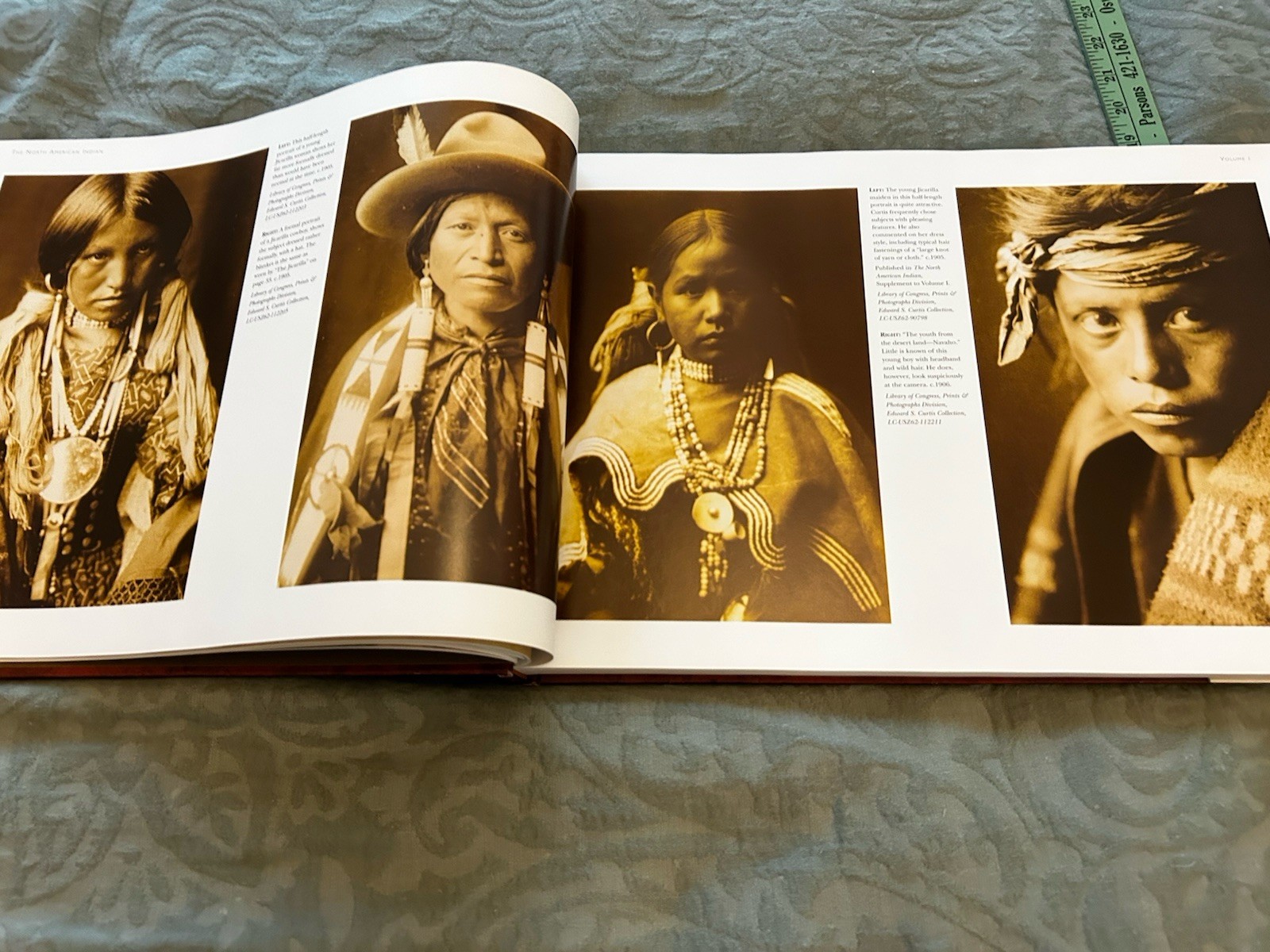 “Native Land Native People” From Edward S. Curtis Collection By Wayne Youngblood