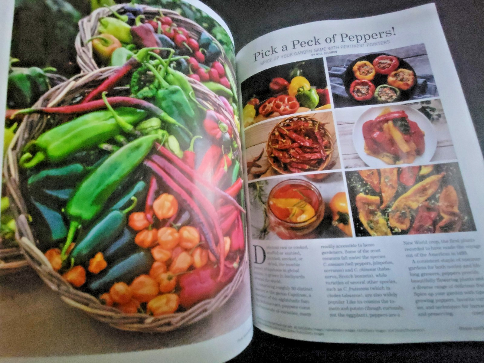 The Old Farmer’s Almanac Garden Guide 2026 – All Information Needed For Success