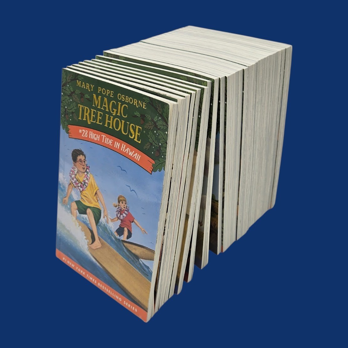 Set 5A: Magic Tree House A Library of Books 1-28 – Mary Pope Osborne Collection