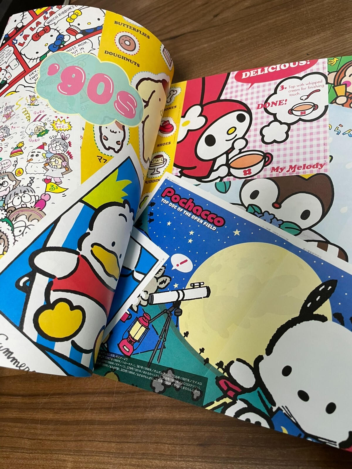 Sanrio Design 90s to 2010s Japanese Book Hello Kitty My Melody Kuromi