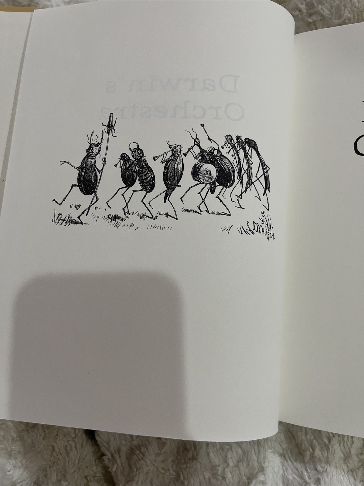 Darwin’s Orchestra: An Almanac of Nature in History by Michael Sims 1st Edition