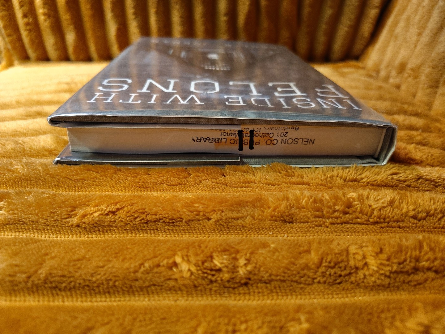 Inside With Felons By Paul R Jordan