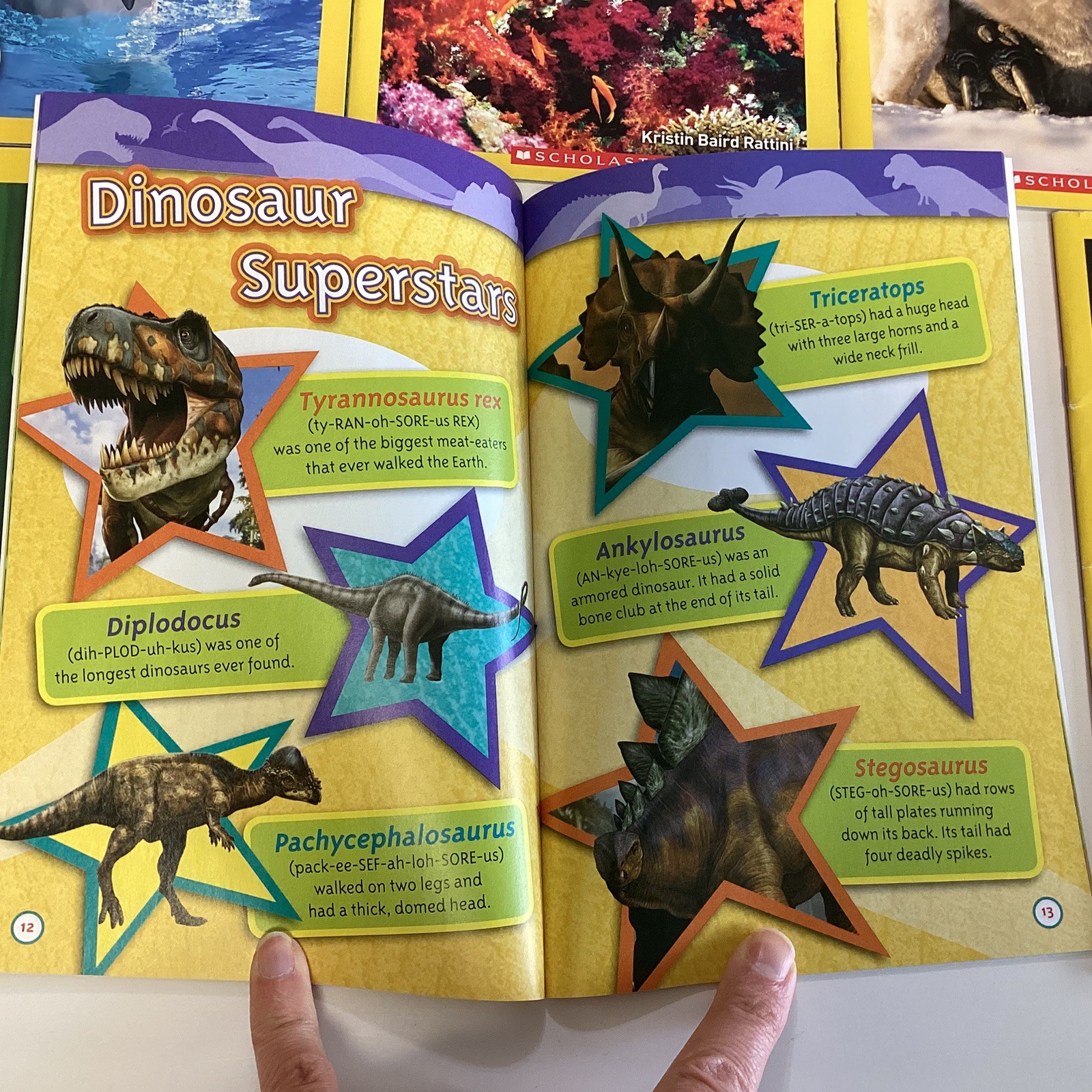 National Geographic Level 1 & 2 Science Readers 1st 2nd Grade 14 Book Lot