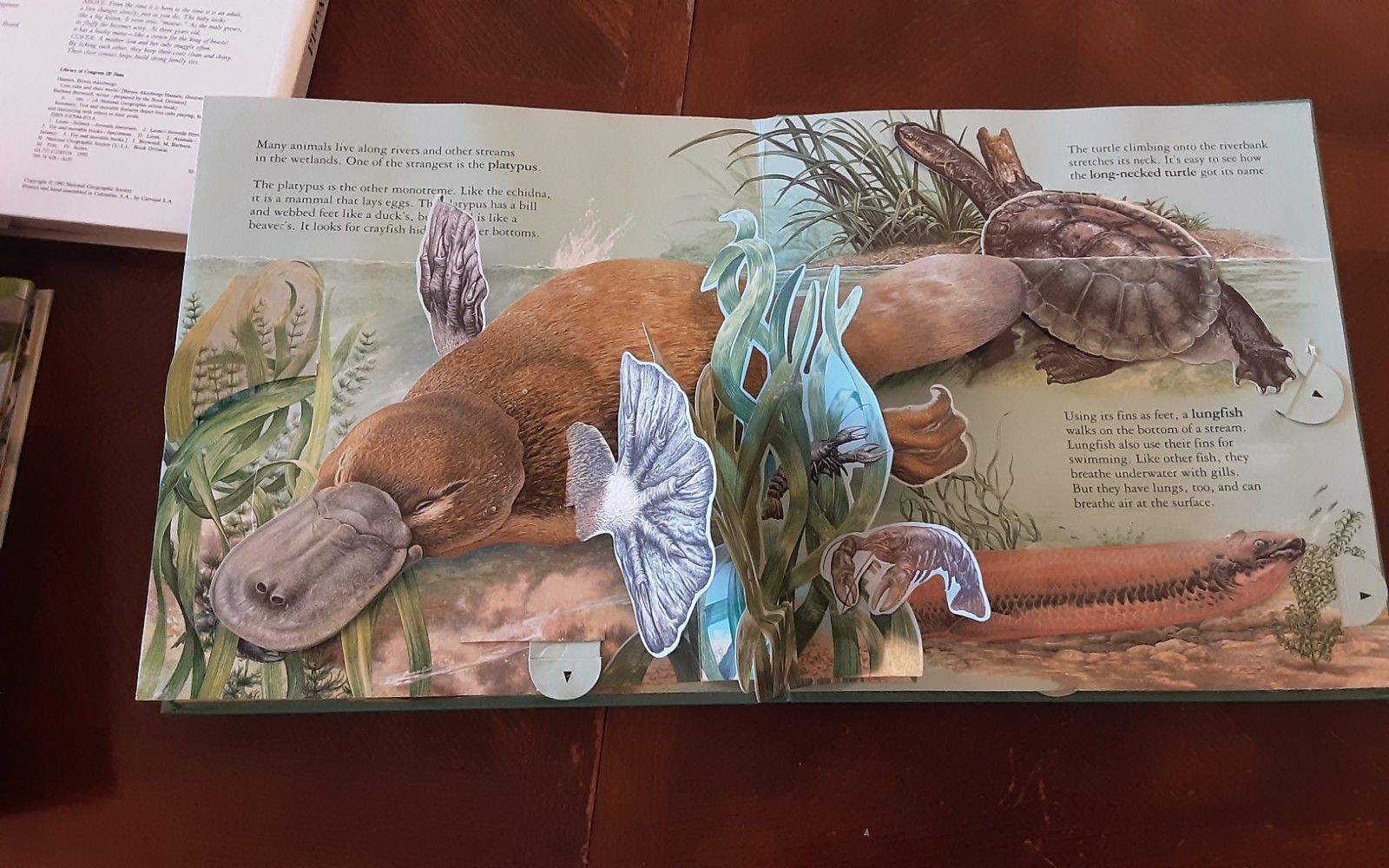 Dinosaurs National Geographic Action Book Lot 5 African Lion Australia Monkeys