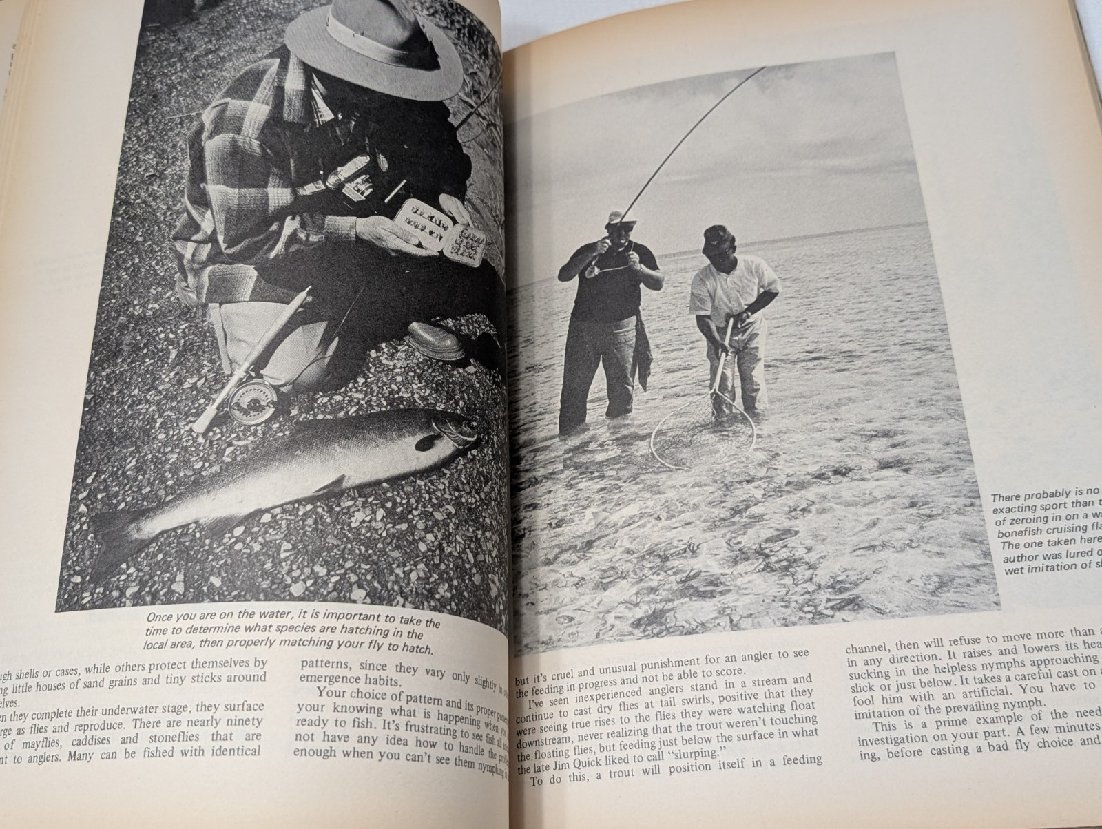 VINTAGE THE ABC’S OF FISHING BOOK BOB ZWIRZ NOVICE TO EXPERT 288 PAGES