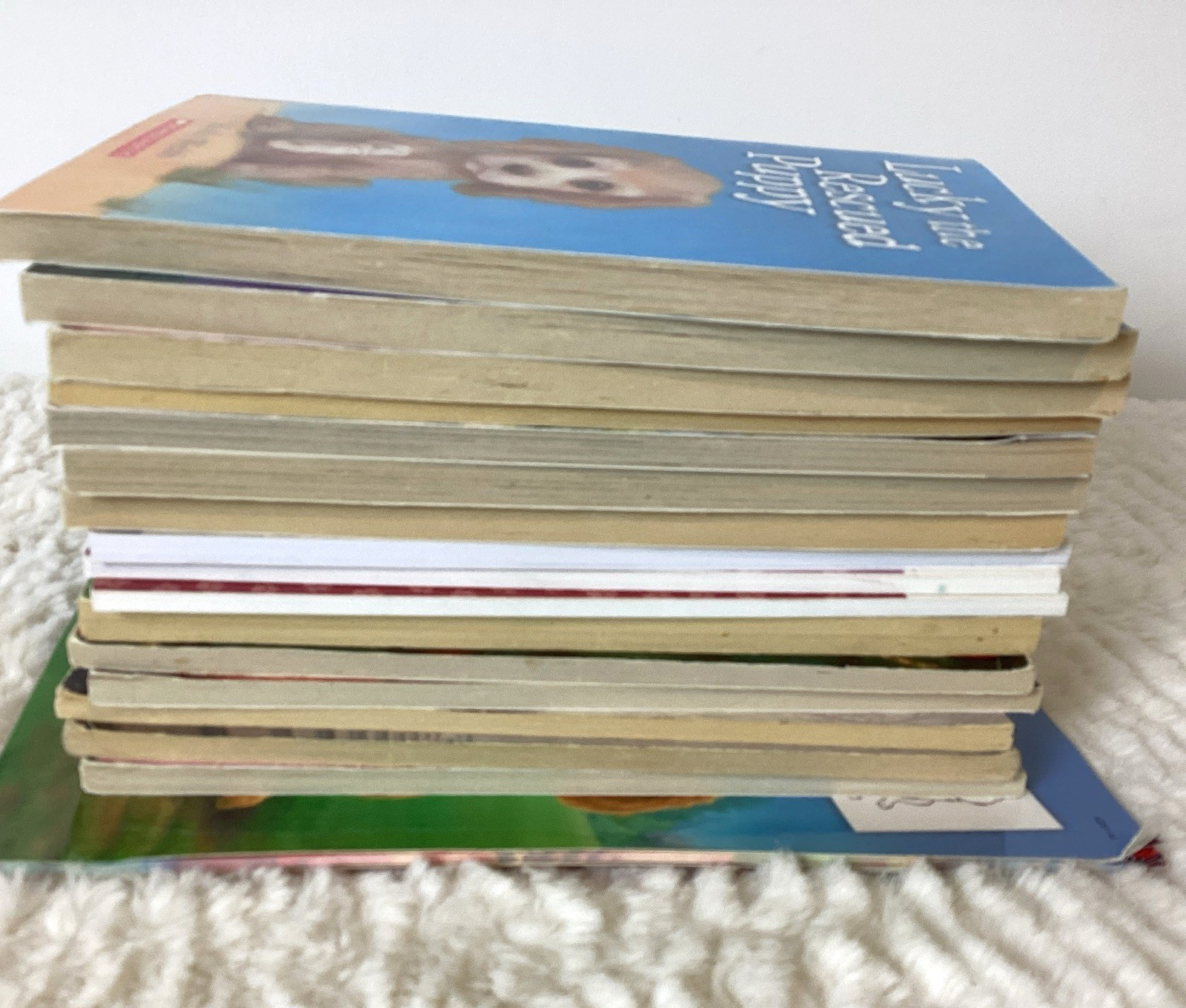 Dog Books Easy Kids Chapter Stories Puppy Place & More Ages 6-9 Lot of 16 + Draw