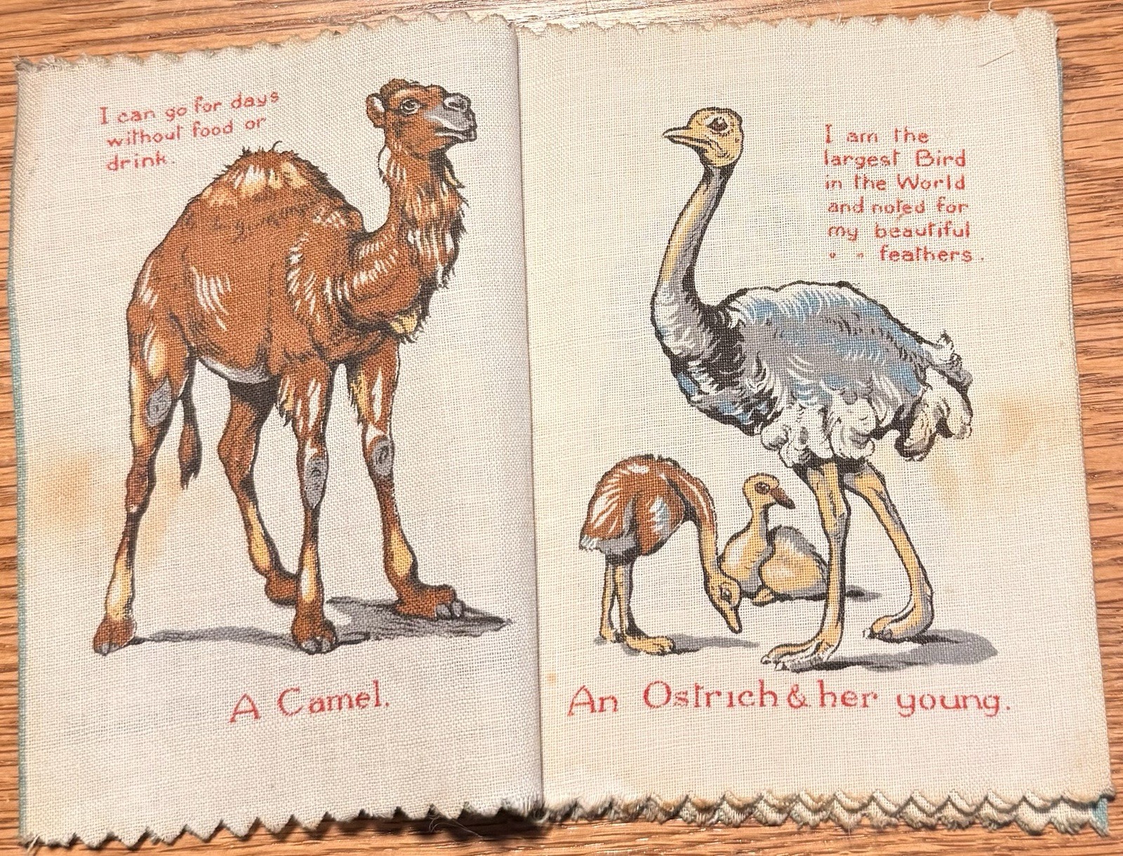 1910’s “Great Friends” Dean’s Rag Book, British London, “Quite Indescribable”