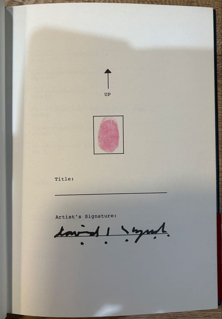 David Lynch Paintings And Drawings Treville 1991 Japan Art Book Rare Good Copy