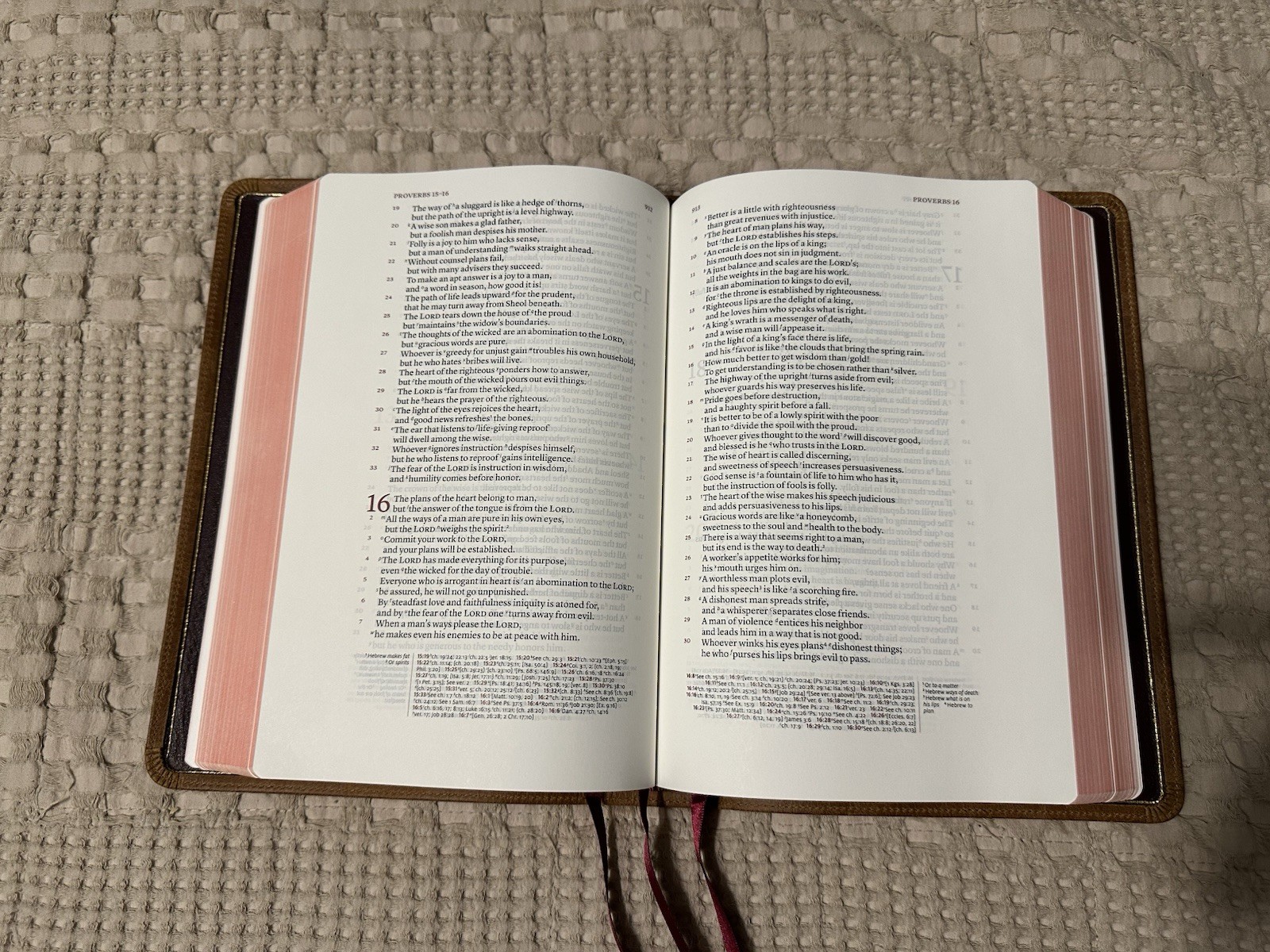 Schuyler ESV Stridon Bible – Desert Camel Calfskin Leather