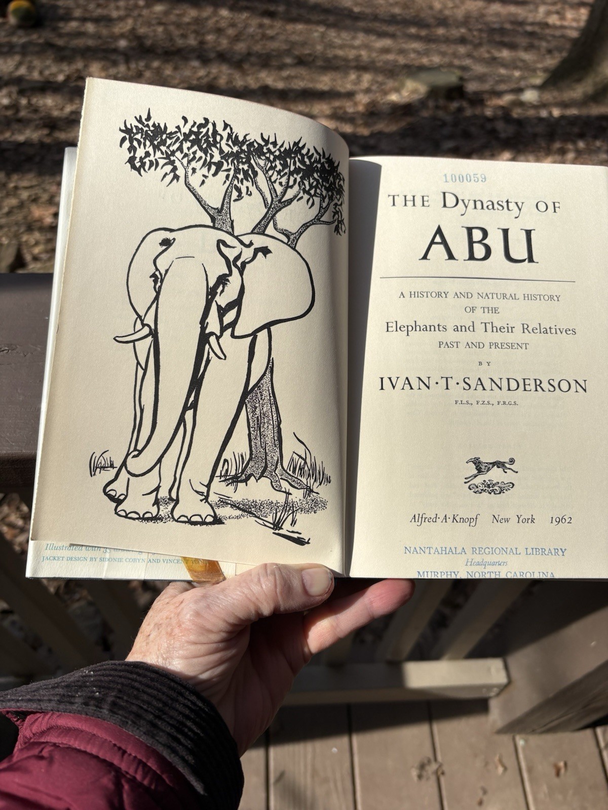 The Dynasty Of Abu, Ivan T Sanderson, Alfred A Knopf, 1962, HCDJ 1st Ed.