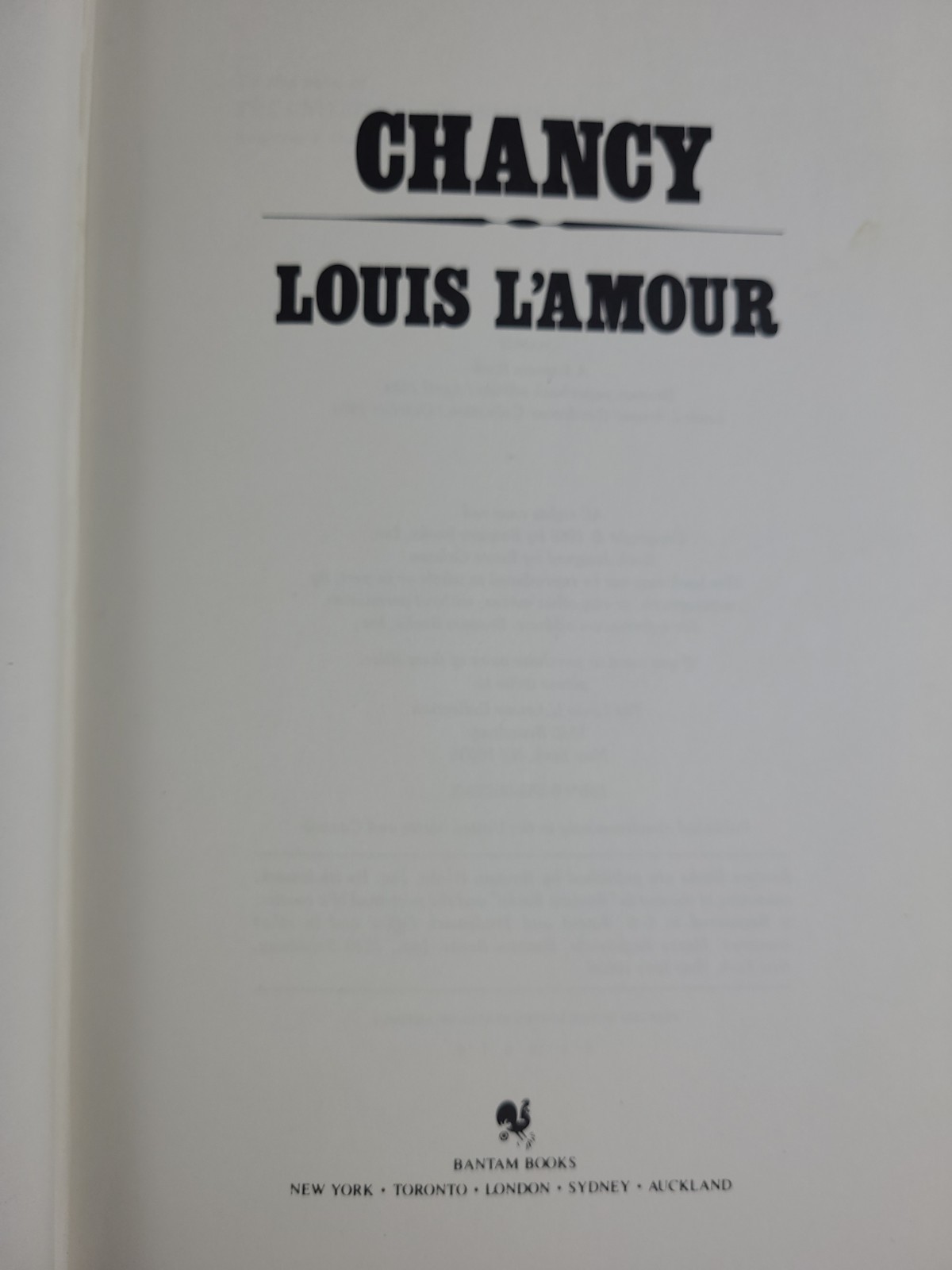 Lot Of 34 Louis L’amour Leatherette Collection Bantam Books HC 1980s-90s