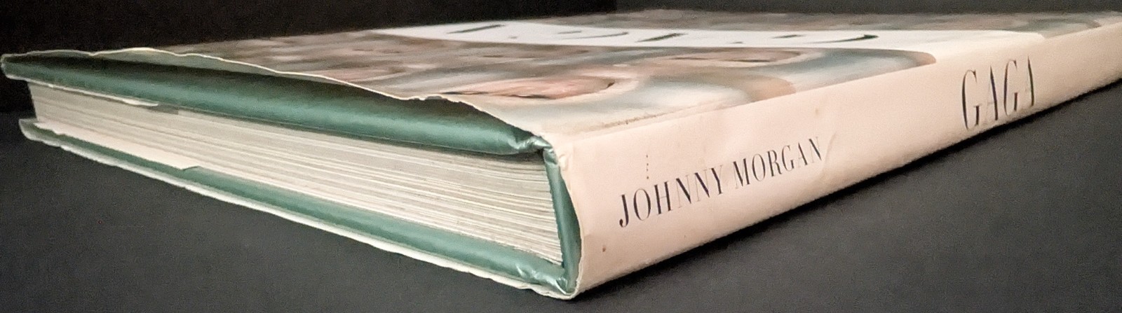 Johnny Morgan Gaga 2010 Book Hardcover 160 Pages *PLEASE READ*