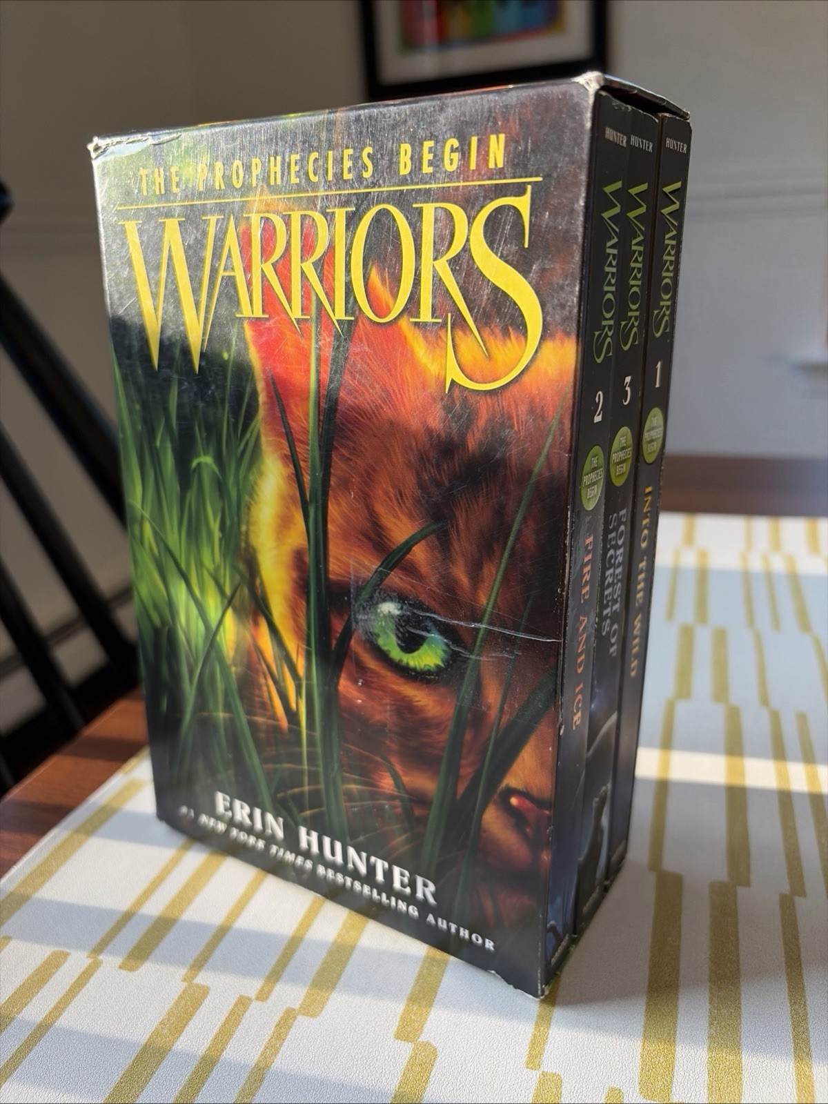 Erin Hunter Warriors: The Prophecies Begin Box Set Books 1-3 (English)