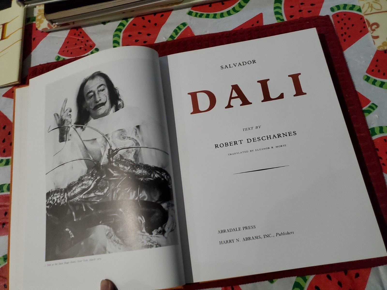DALI Robert Descharnes hcdj 1993 Big 175 pages Hardcover with dustcover