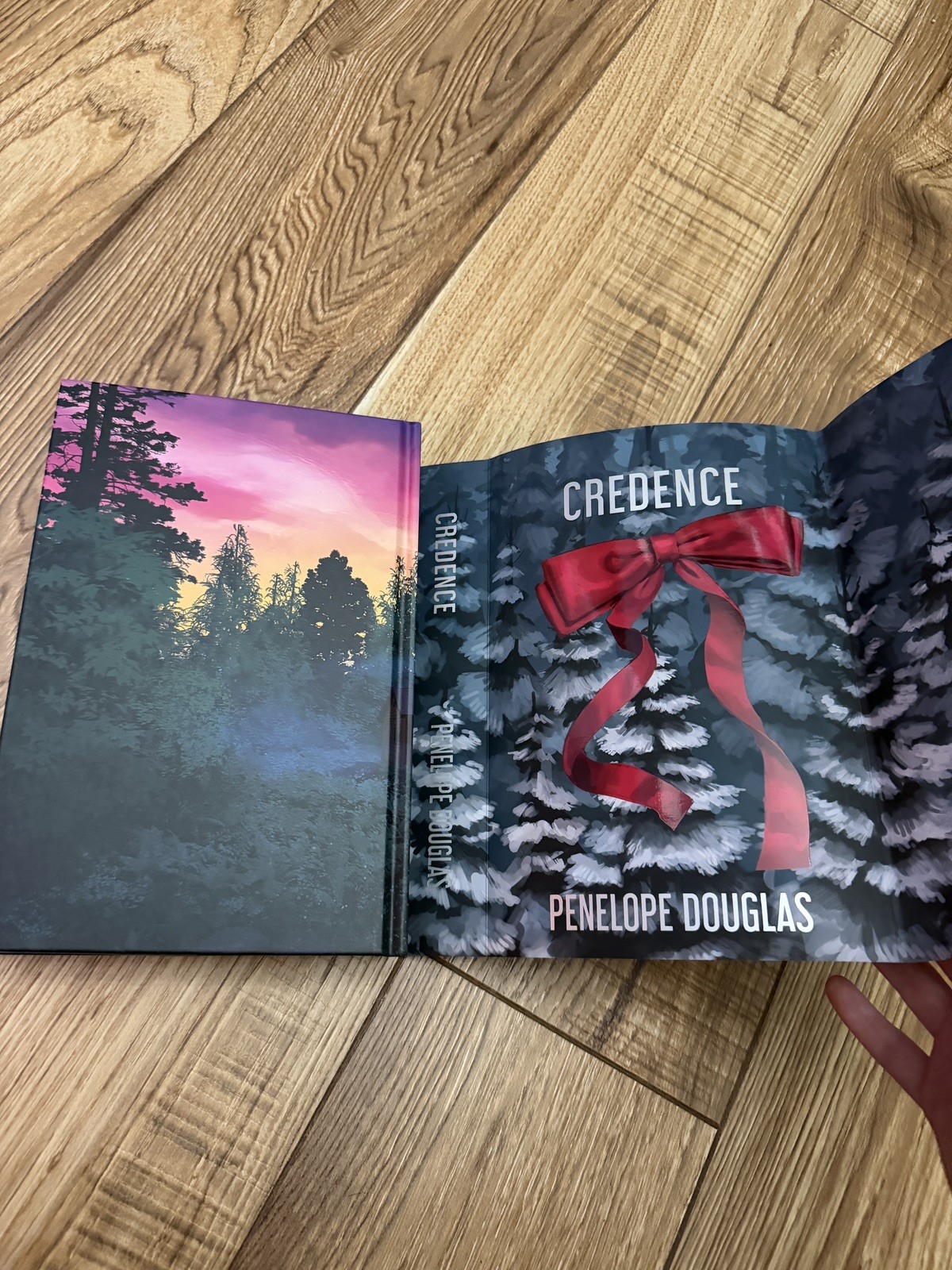 Credence By Penelope Douglas Books For Days Crate Special Edition Bfdc