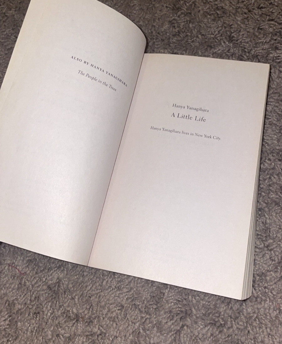 A Little Life Hanya Yanagihara Paperback – Preowned great condition