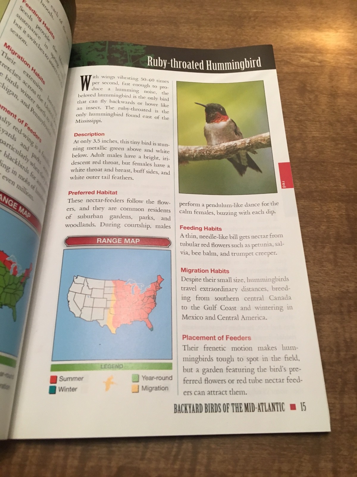 Field Guide to Backyard Birds of the Mid-Atlantic by Cool Springs Press (English
