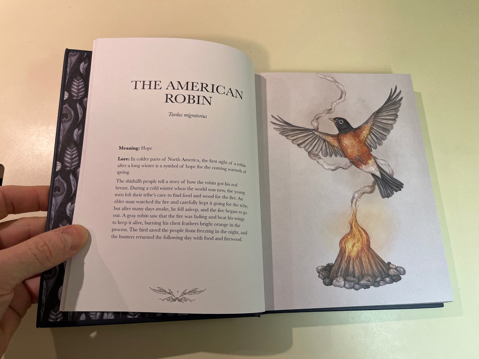 Ornithography Illustrated Guide to Bird Lore & Symbolism, Jessica Roux Hardcover