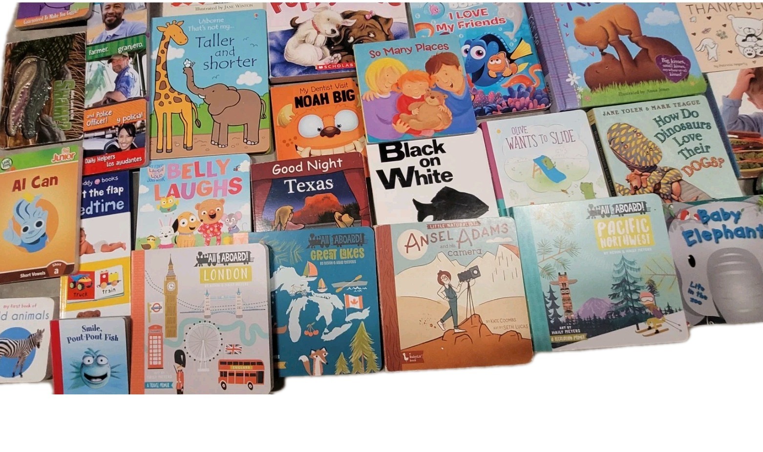 Huge Lot Of 80 Board Books for Children’s/ Toddler Babies/Preschool/Daycare
