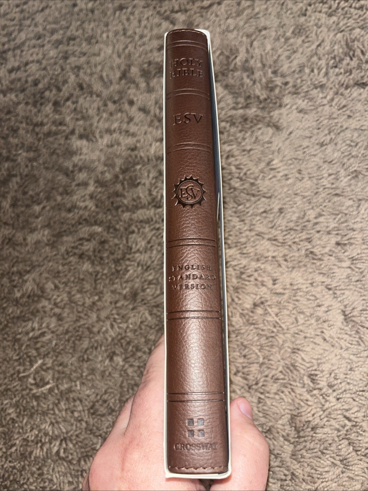 ESV Kid’s Thinline Bible (TruTone, Chocolate/Bubble Gum) (2014, Imitation…