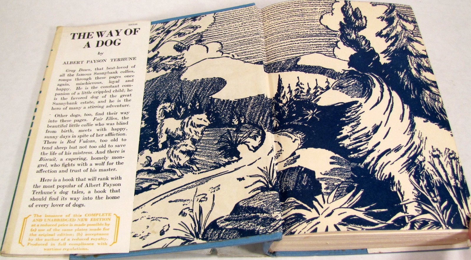 The Way of a Dog by Albert Terhune First Edition Hardback w/ Dust Jacket 1932
