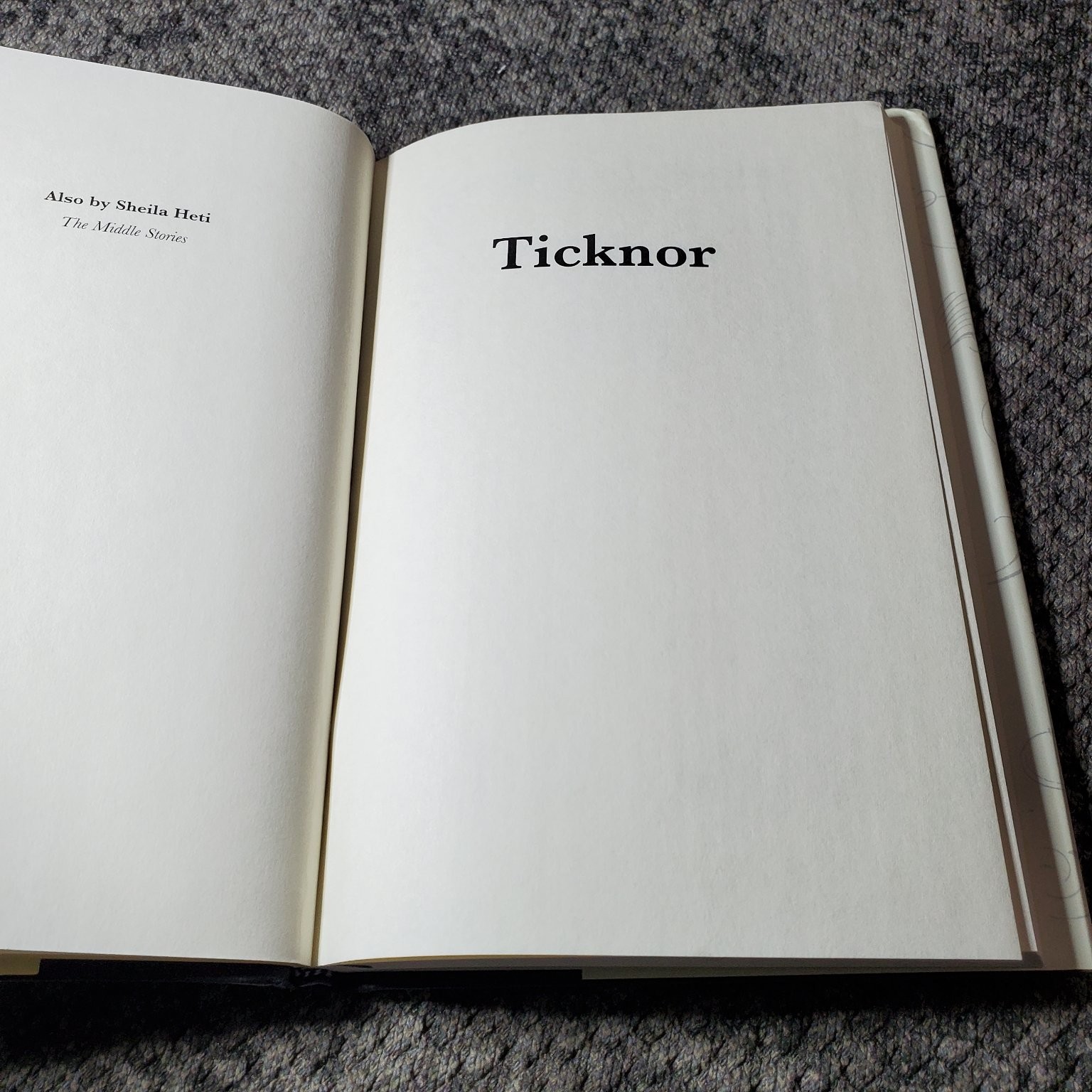 Ticknor Sheila Heti 2006 First Edition Fiction Farrar Straus Giroux