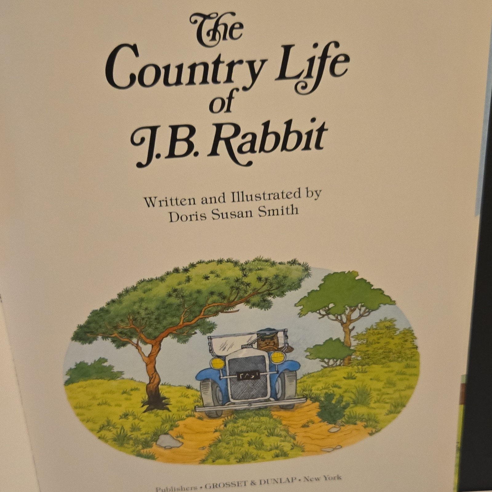 RARE The Country Life of J.B. Rabbit Doris Susan Smith Hardcover 1983 Children