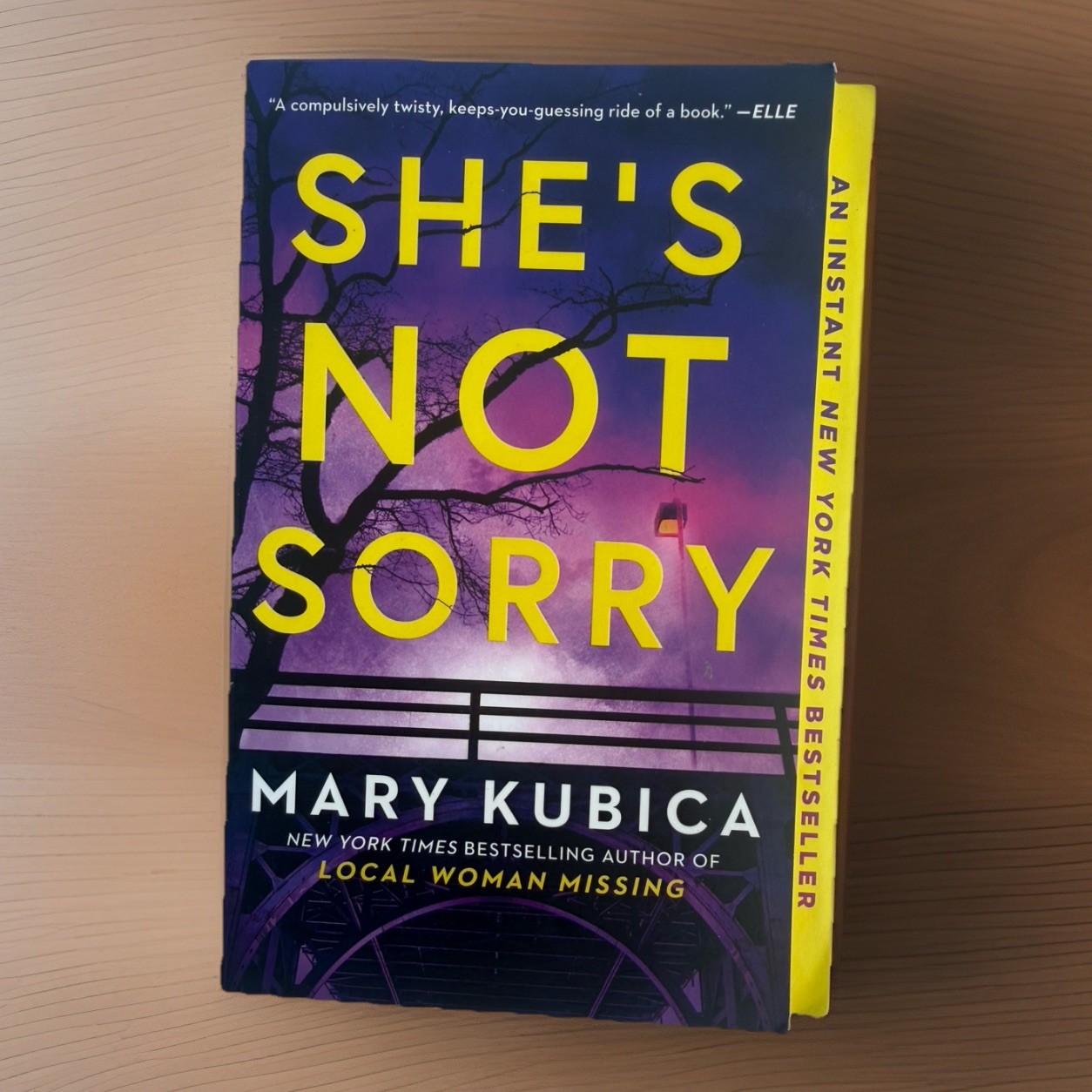 She’s Not Sorry Paperback Book by Mary Kubica Psychological Thriller