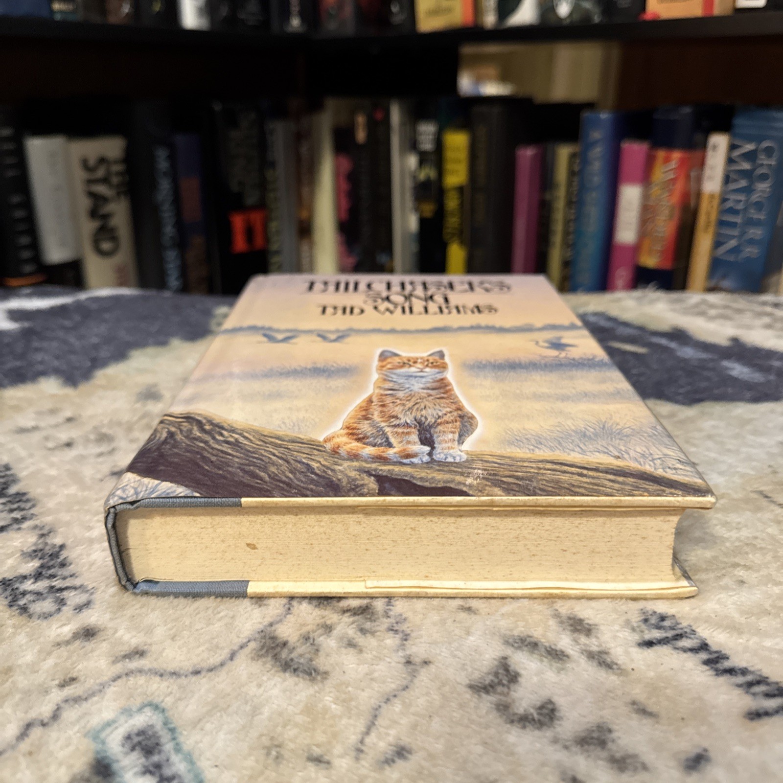 Tailchaser’s Song – Tad Williams (1985, Hardcover) First Edition/1st Print, HCDJ
