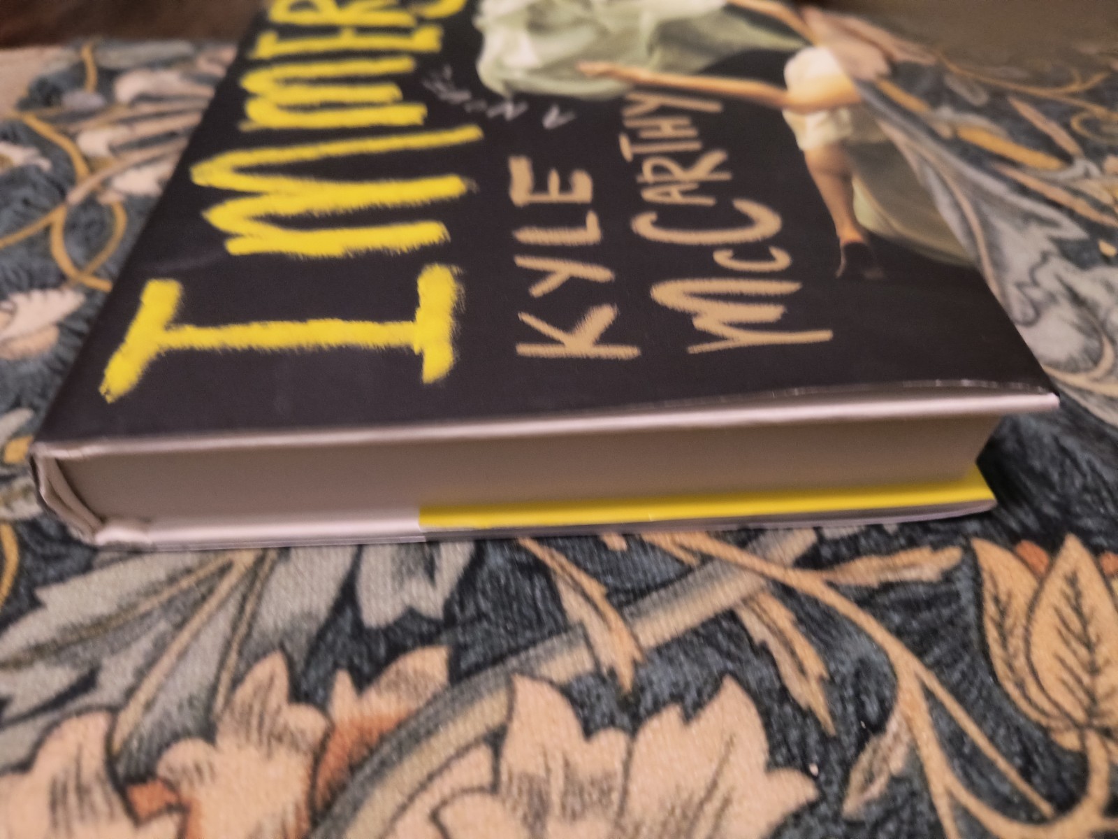 Immersions : A Novel by Kyle McCarthy May 2026 Release NEW Unread