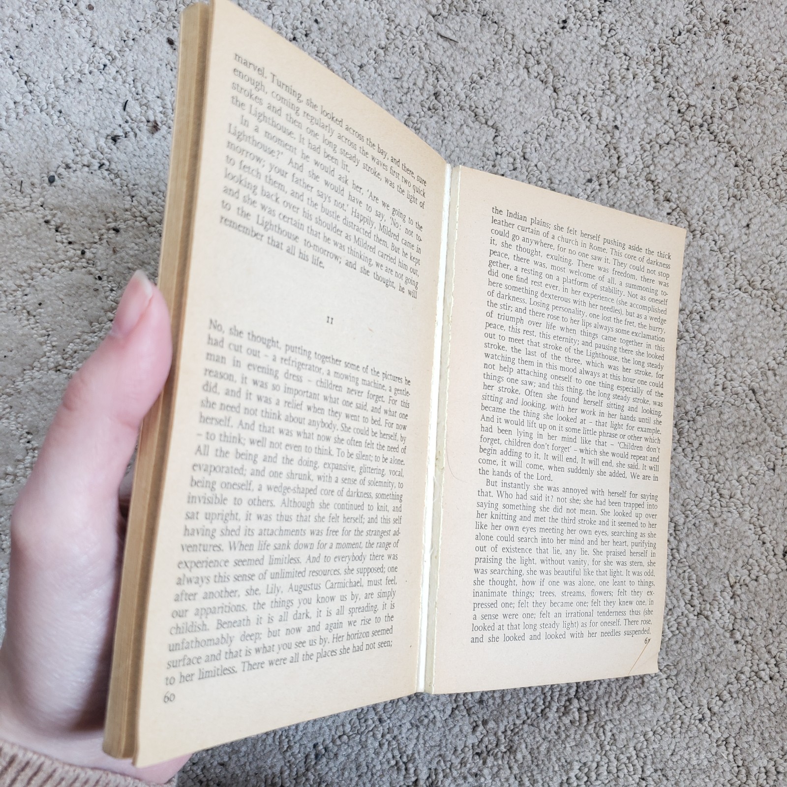 To The Lighthouse Virginia Woolf Panther Books Edition 1979 UK Paperback