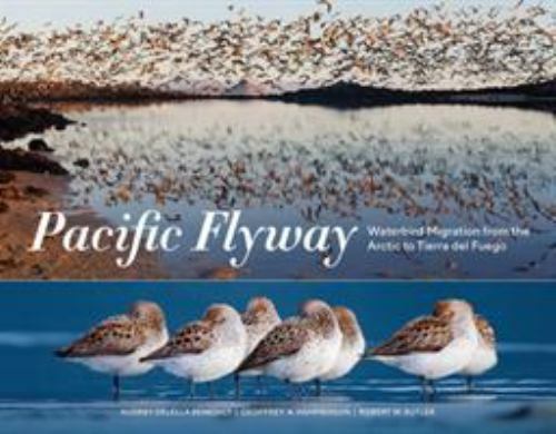 Pacific Flyway: Waterbird Migration- 1632171341, Audrey DeLella Bened, paperback