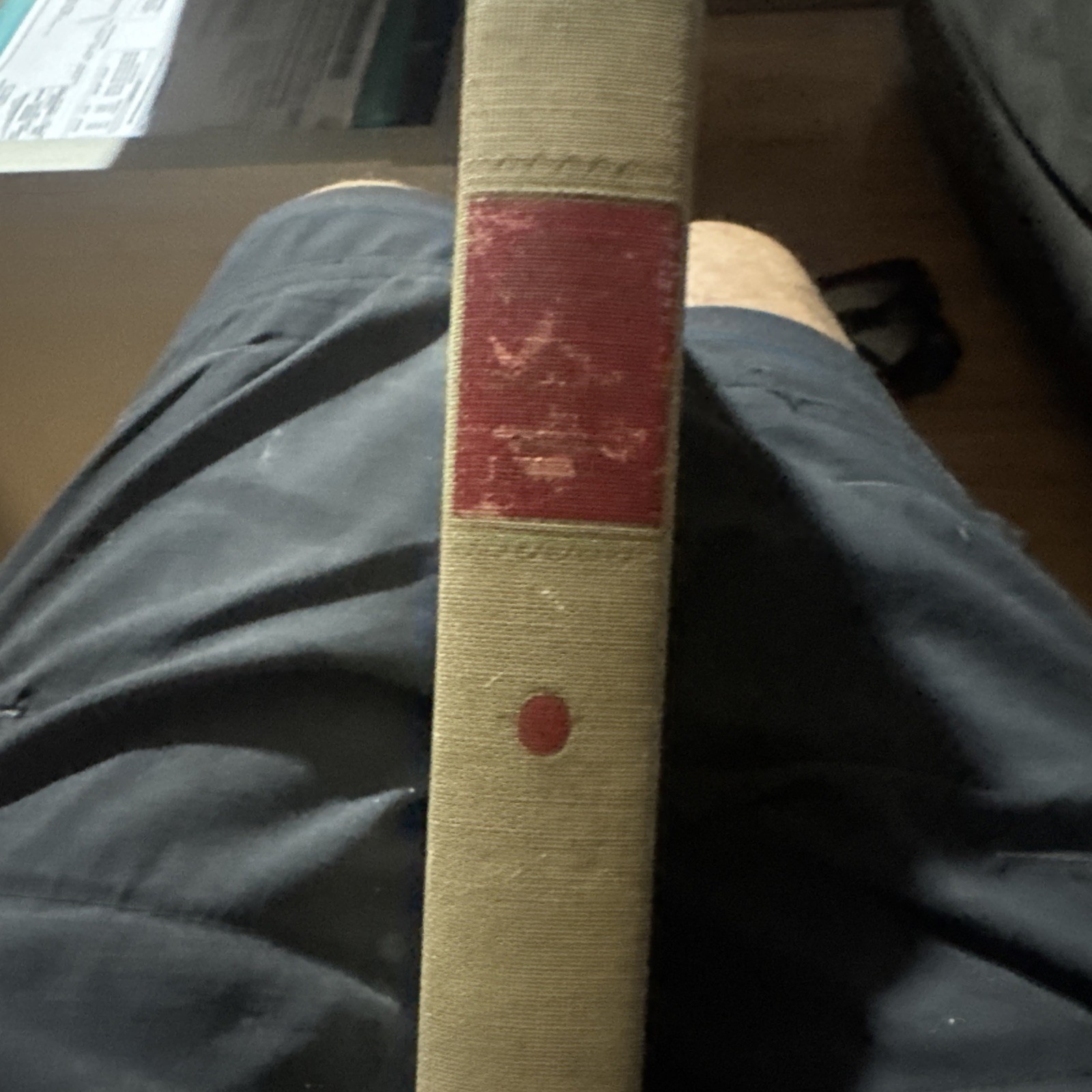 Anna Karenina by Leo Tolstoi