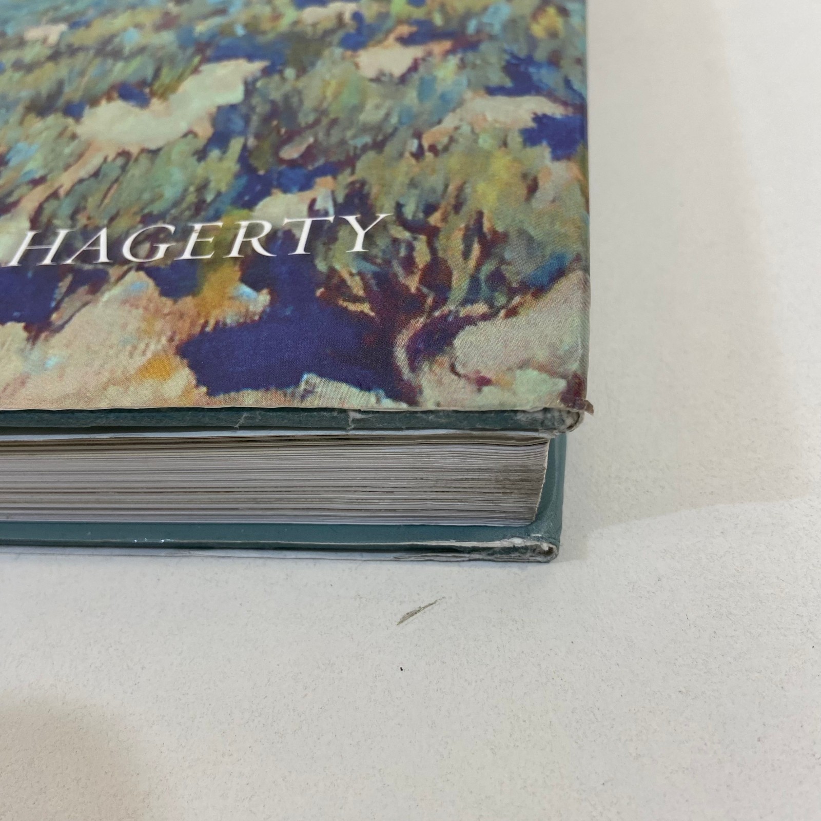 The Art of Maynard Dixon Donald J Hagerty Artist History Gibbs Smith 2010 HCDJ