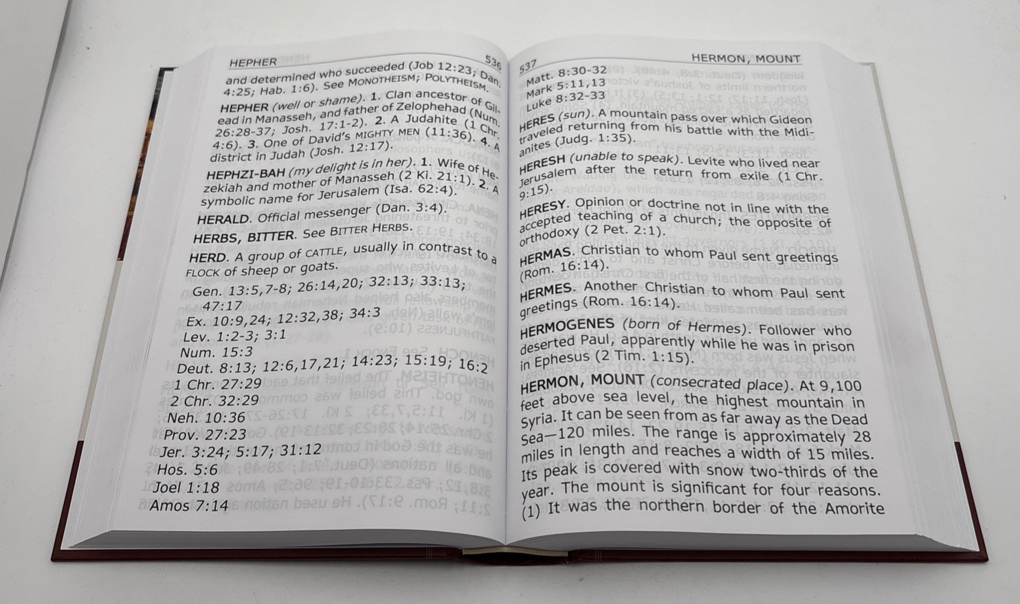 KJV Super Giant Print Dictionary & Concordance of the Holy Bible KJV