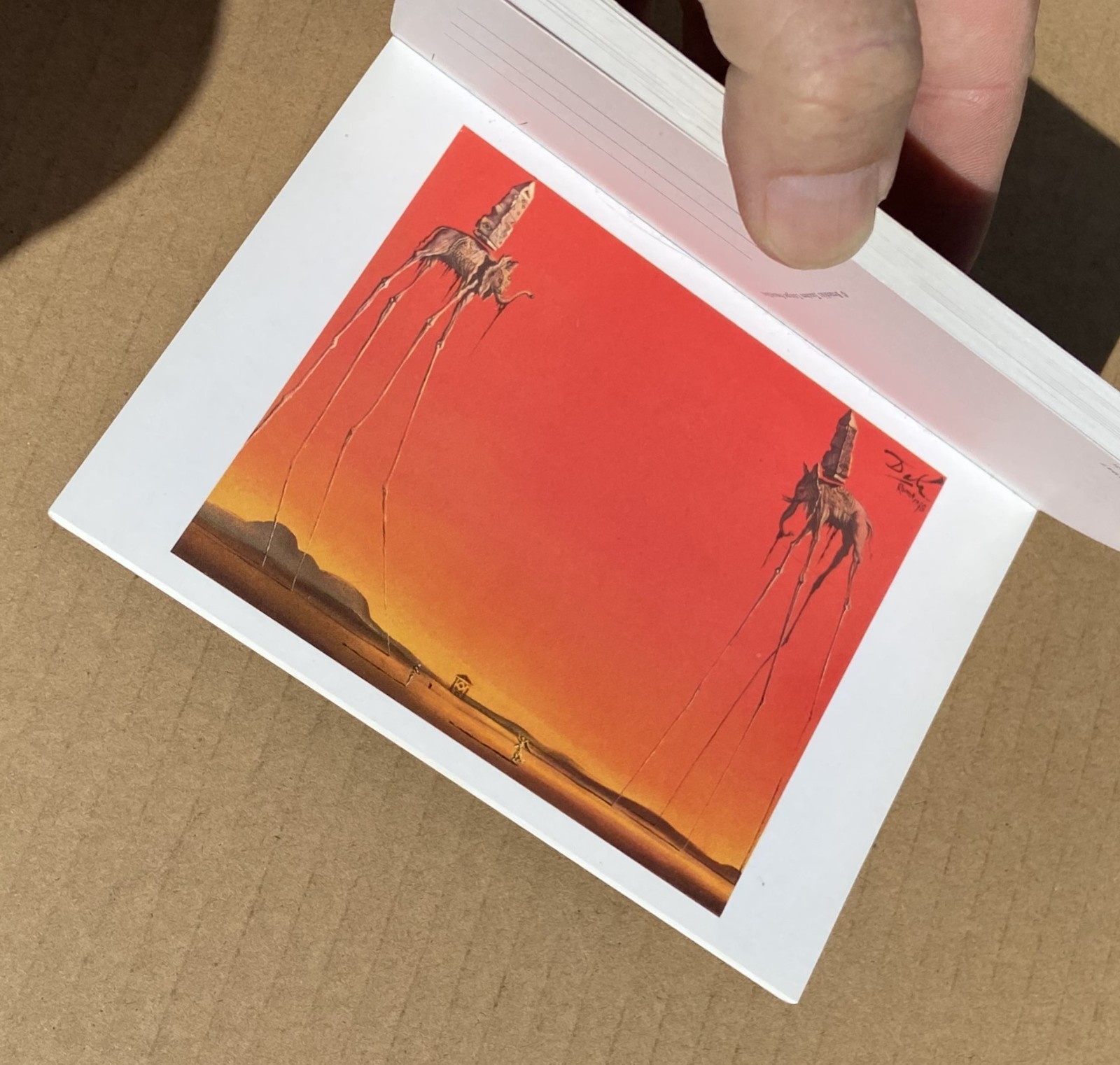 SALVADOR DALI 30 Postcards Postcard Booklet Book