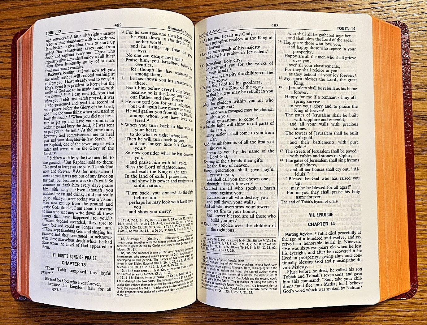 Saint Joseph Edition of the New American Bible NEW in Box Large Type Illustrated