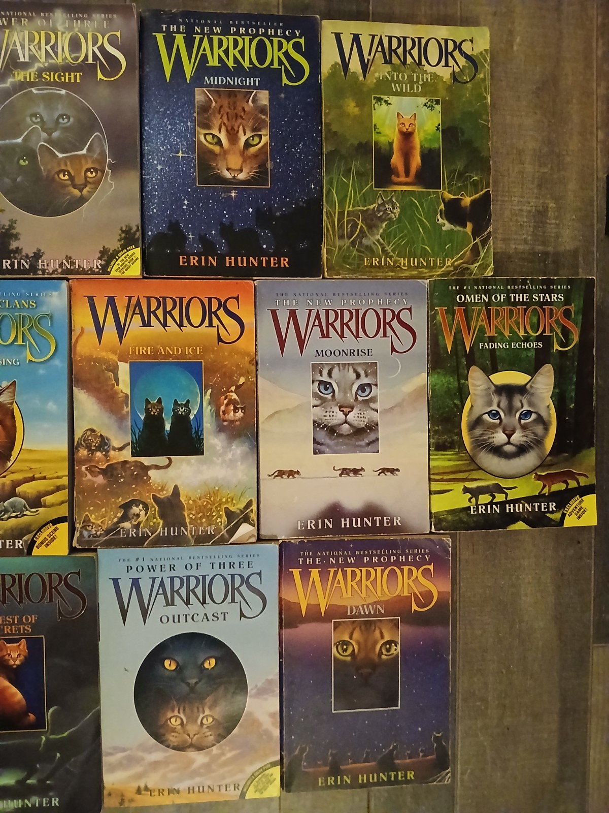 13 peace WARRIOS ERIN HUNTER Books ,