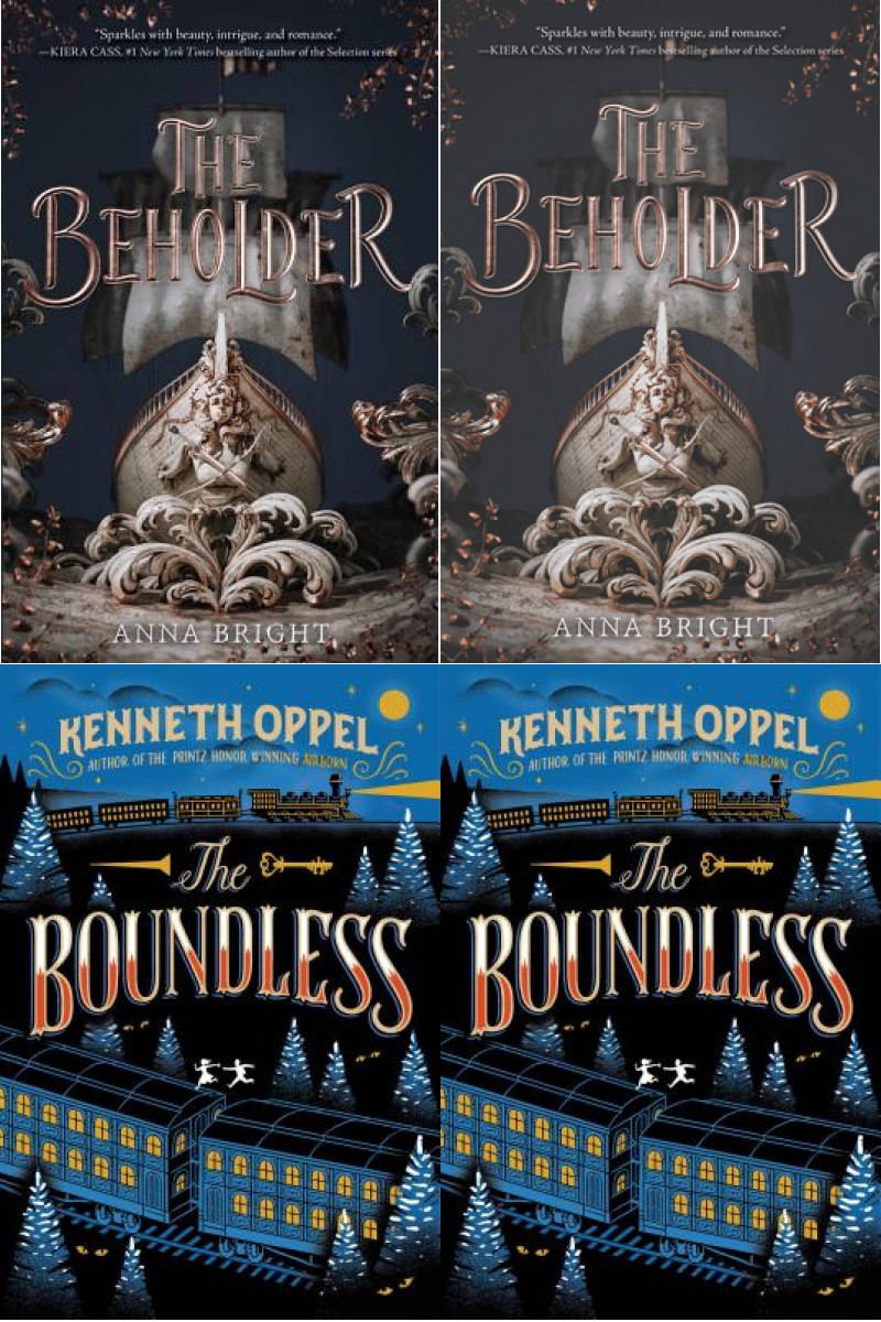 The Beholder Series All 2 Books in Hardcover