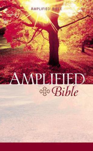 Amplified Bible by Zondervan Staff (1995, Trade Paperback)